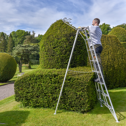 Hendon Heavy Duty Standard Tripod Ladder