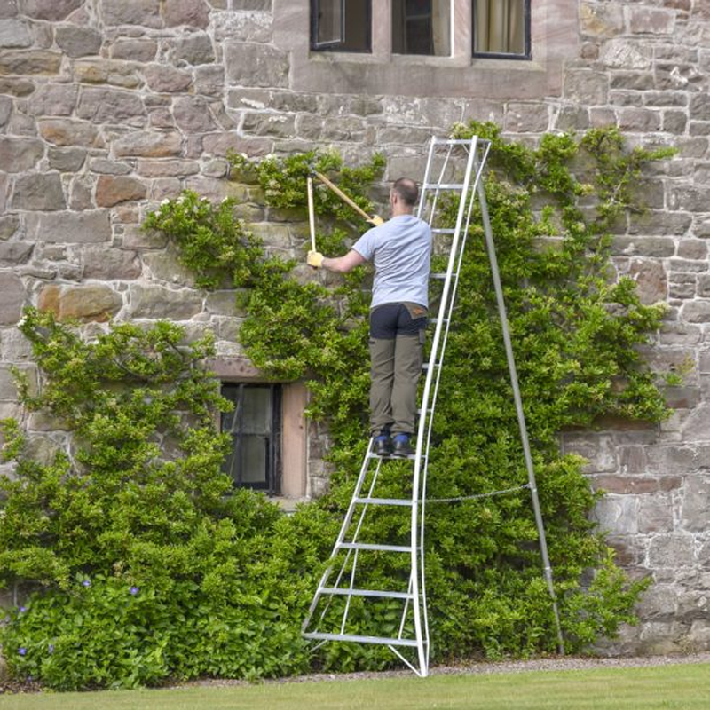 Hendon Standard Tripod Ladder