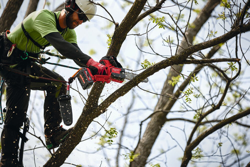 Milwaukee M18 FUEL™ HATCHET™ Pruning Saw 20CM KIT 4933480119