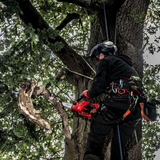 Milwaukee M12 Fuel Hatchet Pruning Saw Bare 16cm 4933472211