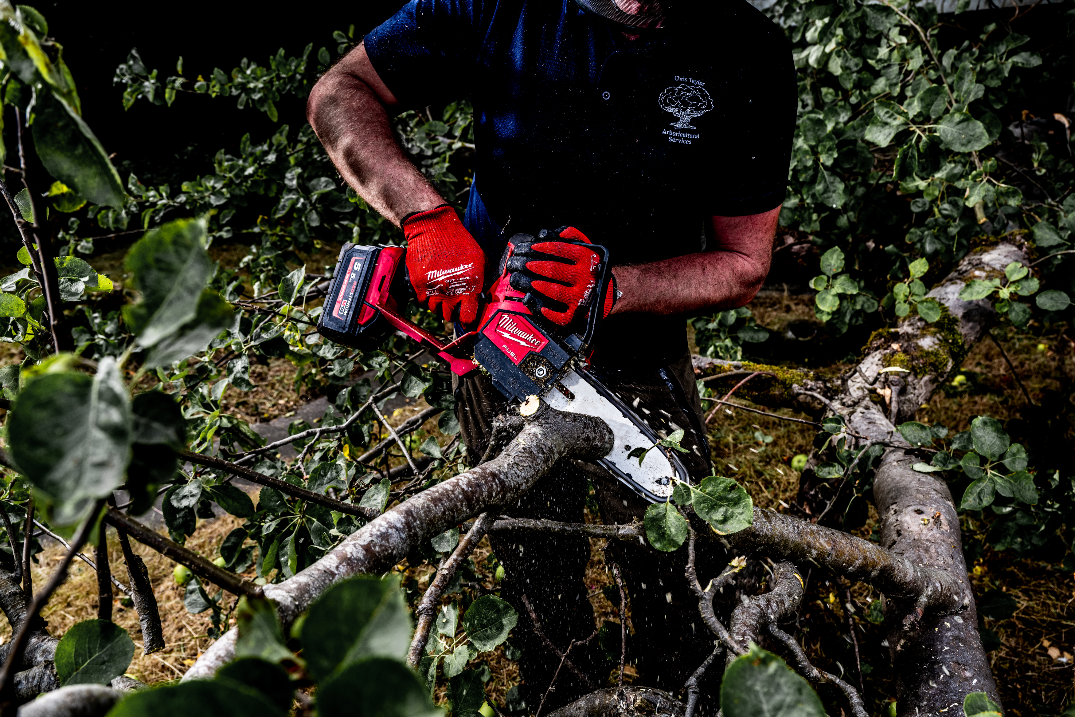 Person using a chainsaw to trim branches in a forest setting
